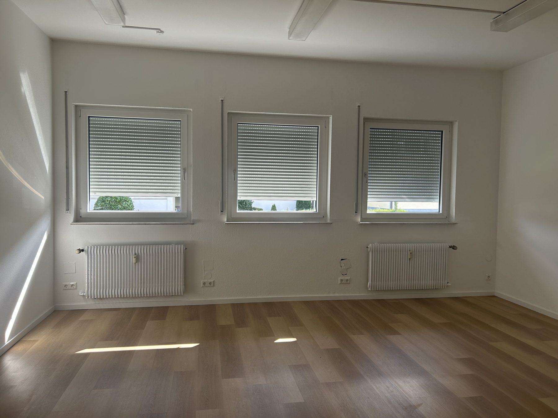 Großes Büro mit drei Fenstern und Laminatboden