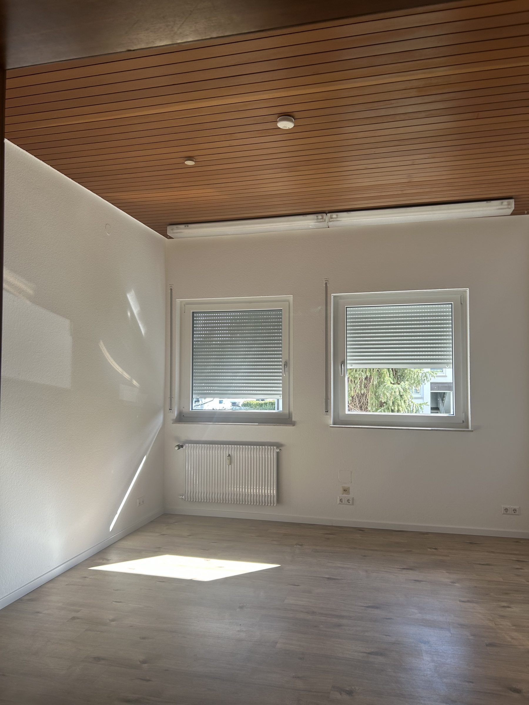 Raum mit heller Holzdecke und zwei Fenstern